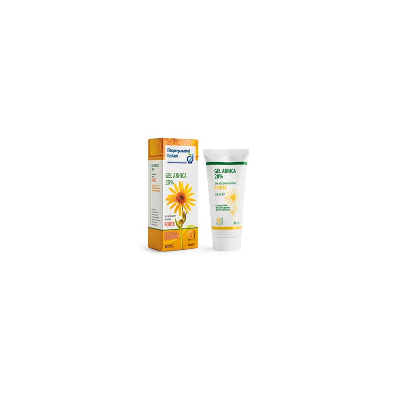 FPI GEL ARNICA 100ML