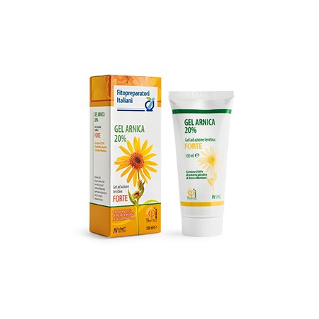 FPI GEL ARNICA 100ML