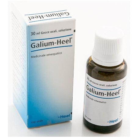 GALIUM 30ML GTT HEEL