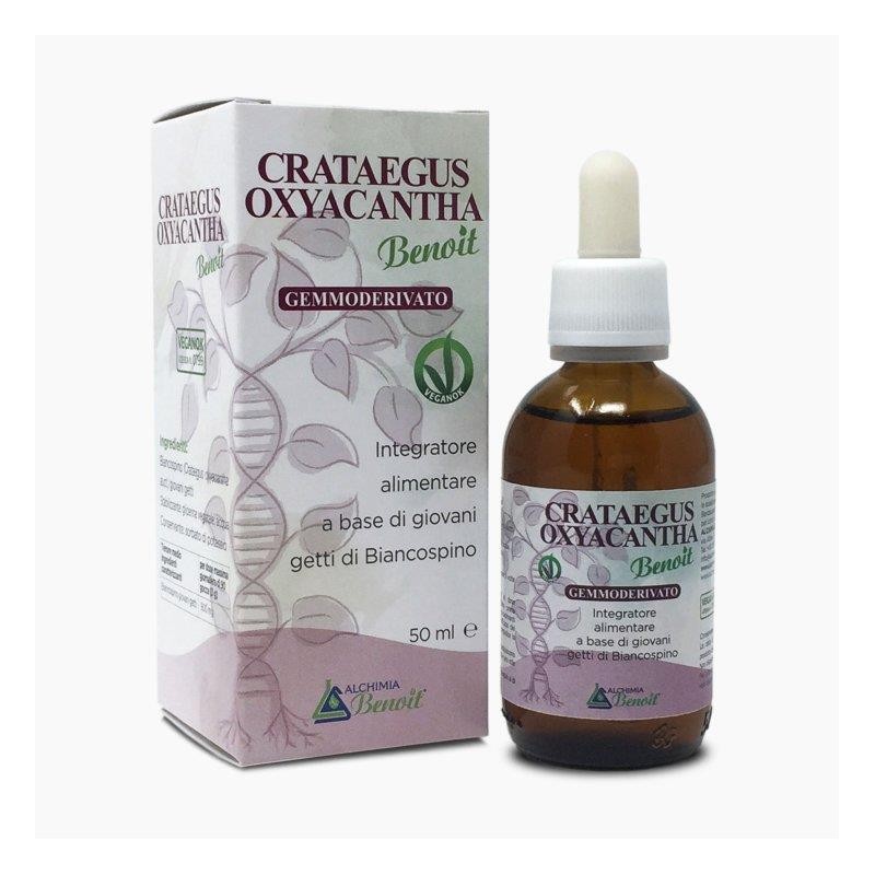 CRATAEGUS OXIANTA GEMM 50ML