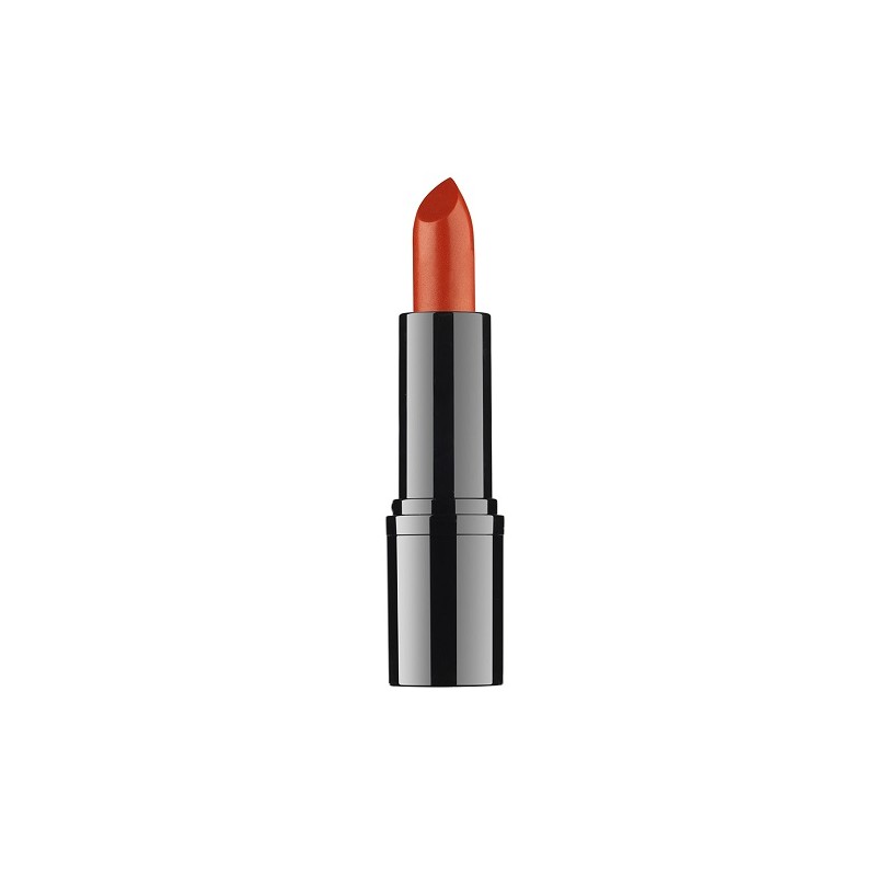 DDP ROSSETTO PROFESSIONALE 13